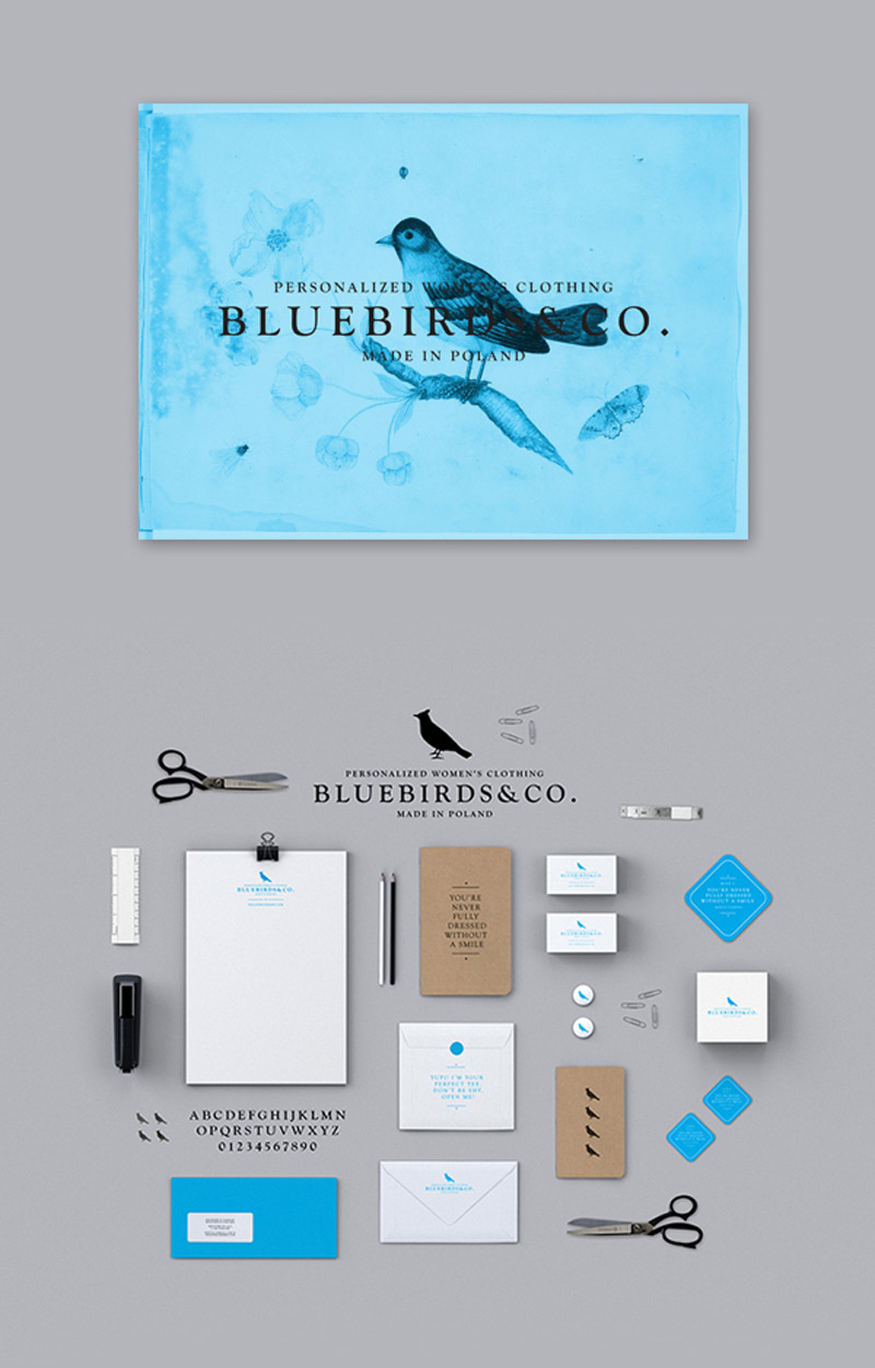 bluebirdsco